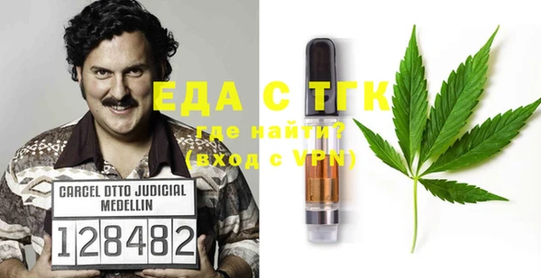 спиды Богородицк