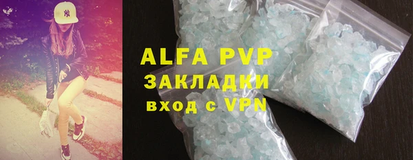 спиды Богородицк