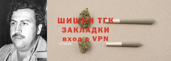 спиды Богородицк