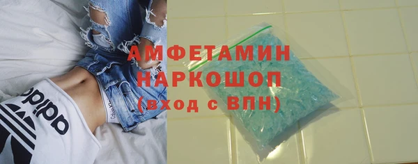 спиды Богородицк