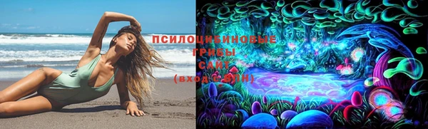 дурь Балахна