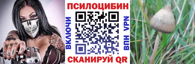 hydra ONION  купить наркотик  Ижевск  Галлюциногенные грибы Psilocybe 